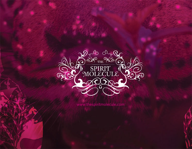 Tickets for The Spirit Molecule documentary Melbourne in Carlton from GreenTix