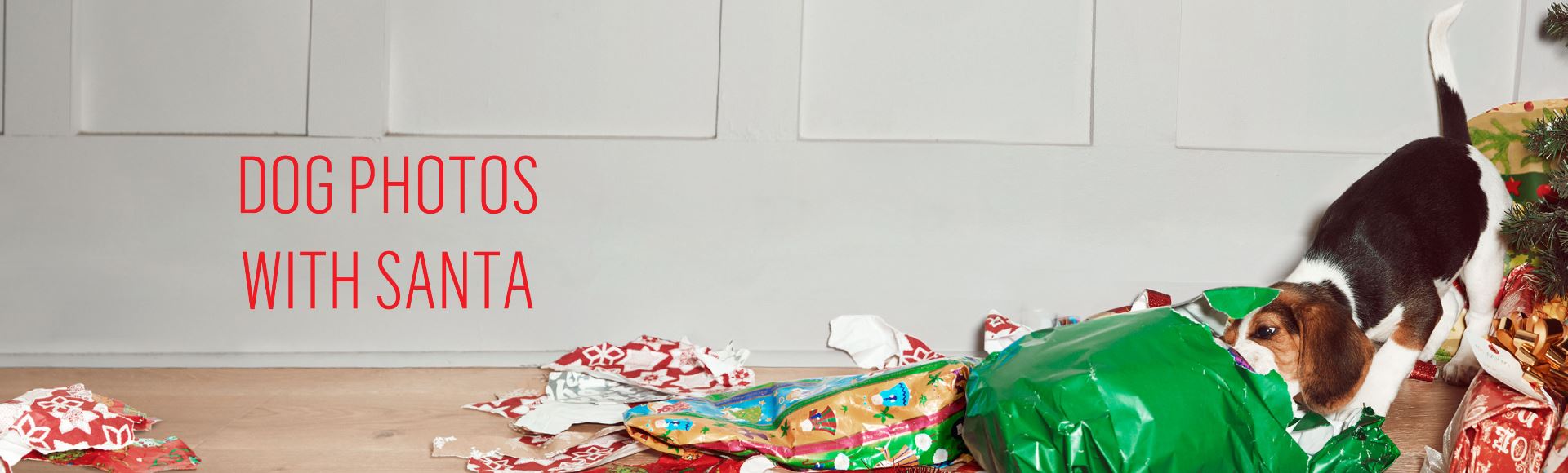 Tickets for Santa Dog Photos in Geelong from Ticketbooth