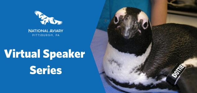 Tickets for National Aviary Virtual Speaker Series  in Pittsburgh from ShowClix