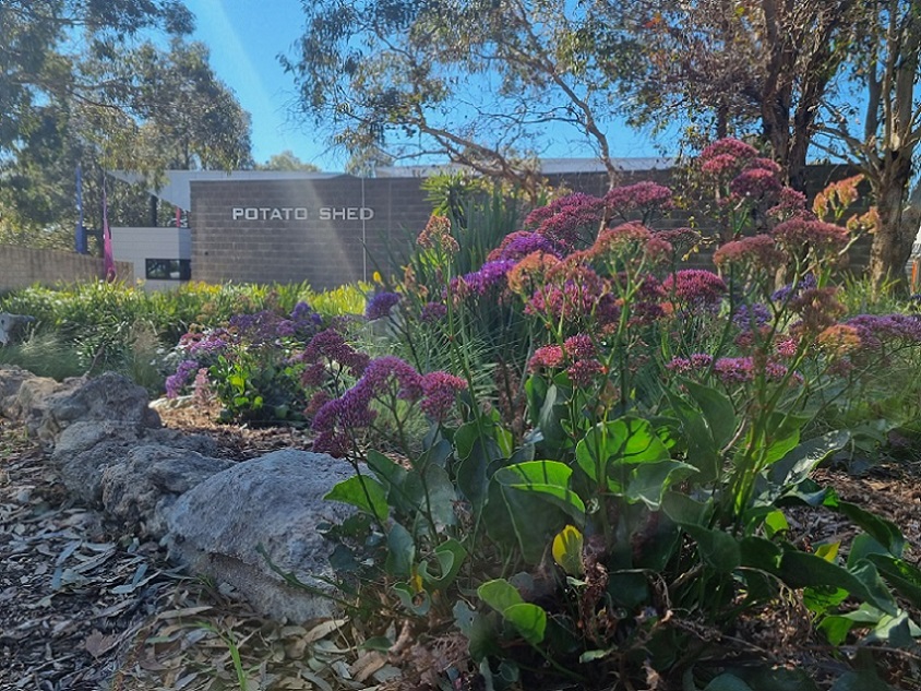  Find tickets from The Potato Shed