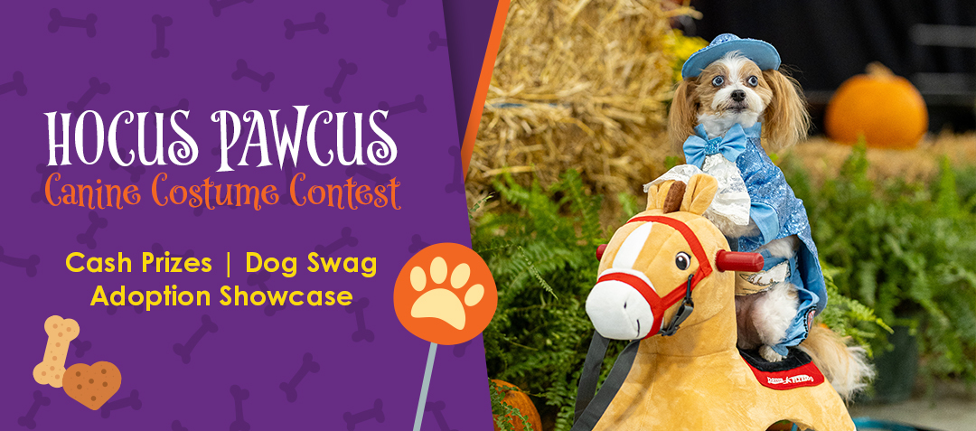 Tickets for 2025 Hocus Pawcus Canine Costume Contest in Ocala from ShowClix