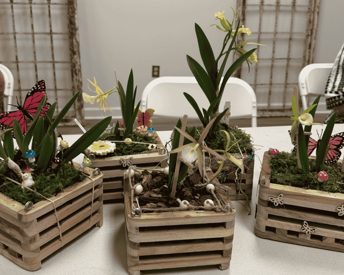 Orchid Planter Workshop