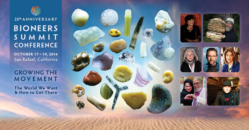 Tickets for Pre-Conference Workshop |  California: Global Game-Changer for Climate Leadership?